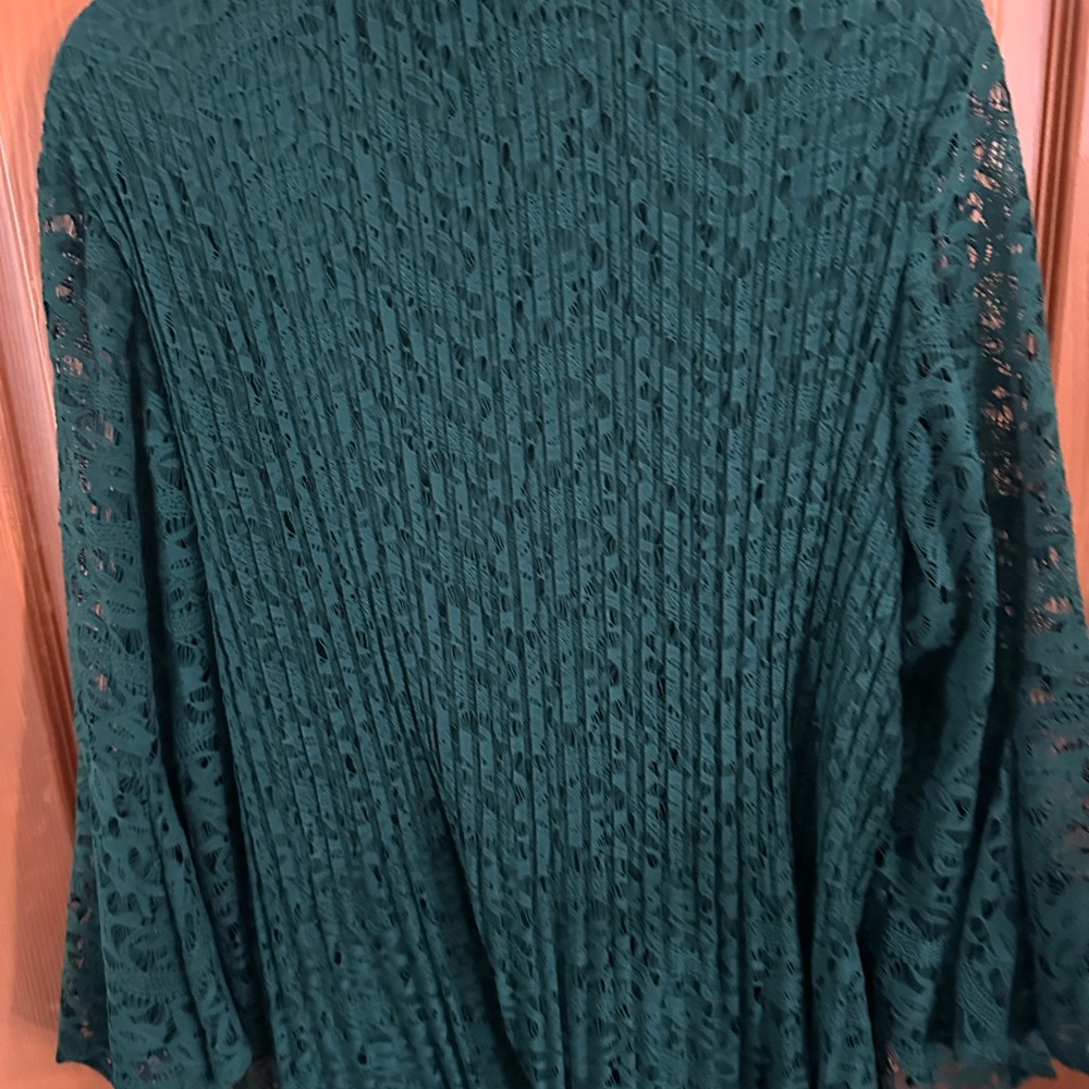 Melissa Paige Forest Green Lace Pleated Top 3x - Picture 4 of 4